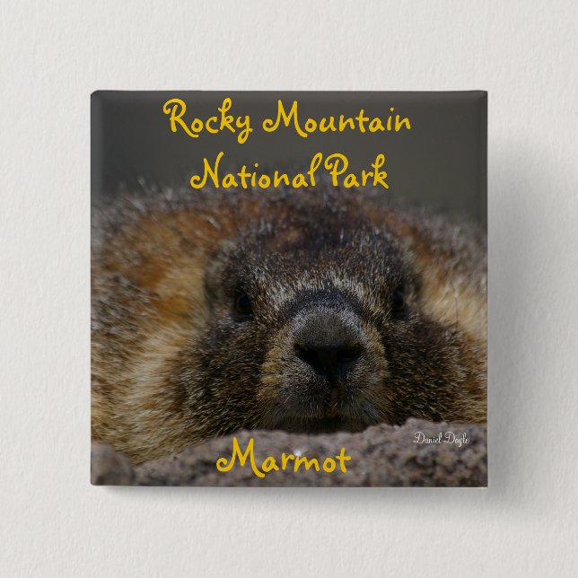 Badge Carré 5 Cm Marmot au parc national rocheux de Mountian (Devant)