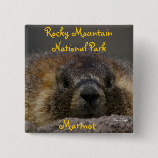 Badge Carré 5 Cm Marmot au parc national rocheux de Mountian
