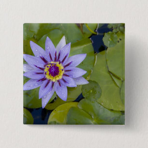 Badge Carré 5 Cm Martinique, Antilles, Antilles, Antilles, Bleu