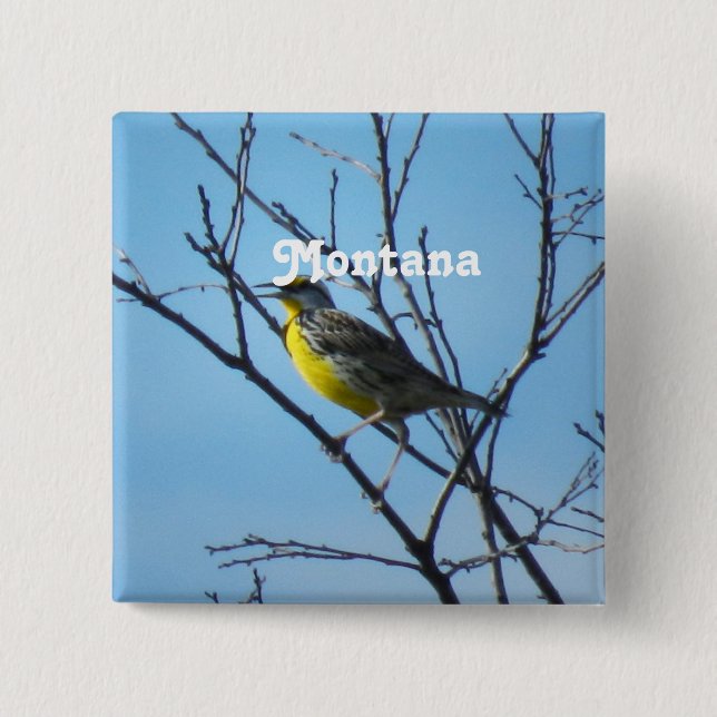 Badge Carré 5 Cm Meadowlark occidental (Devant)