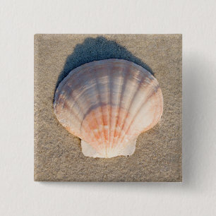 Badge Carré 5 Cm Mer Shell s'étendant sur la plage sablonneuse