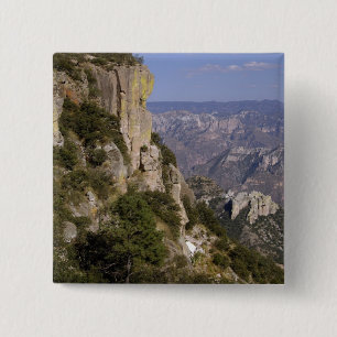 Badge Carré 5 Cm Mexique, État de Chihuahua, Copper Canyon. CECI 2