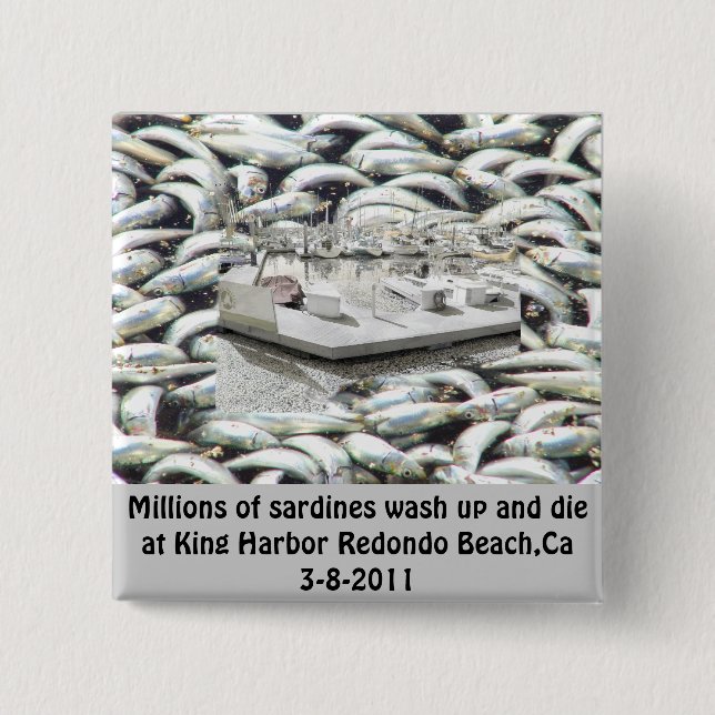 Badge Carré 5 Cm Millions de sardines 3-8-2011_ (Devant)
