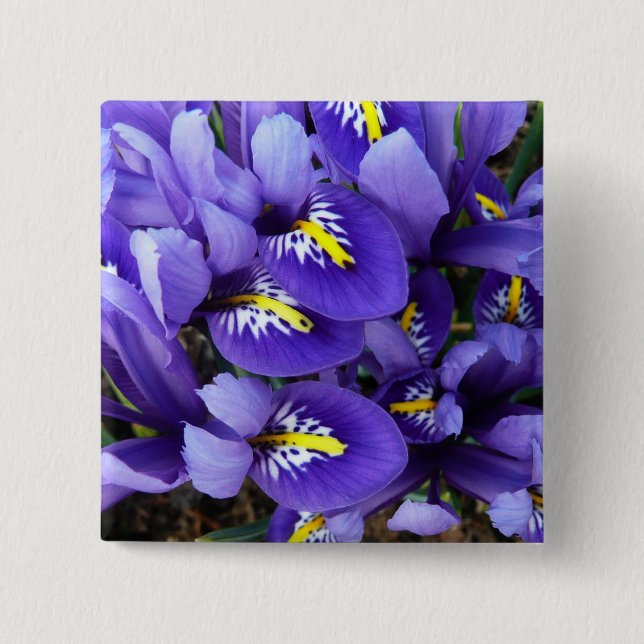 Badge Carré 5 Cm Miniature Bleu Irises Printemps Floral (Devant)
