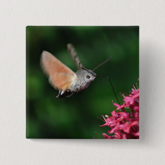 Badge Carré 5 Cm Mite de colibri planant