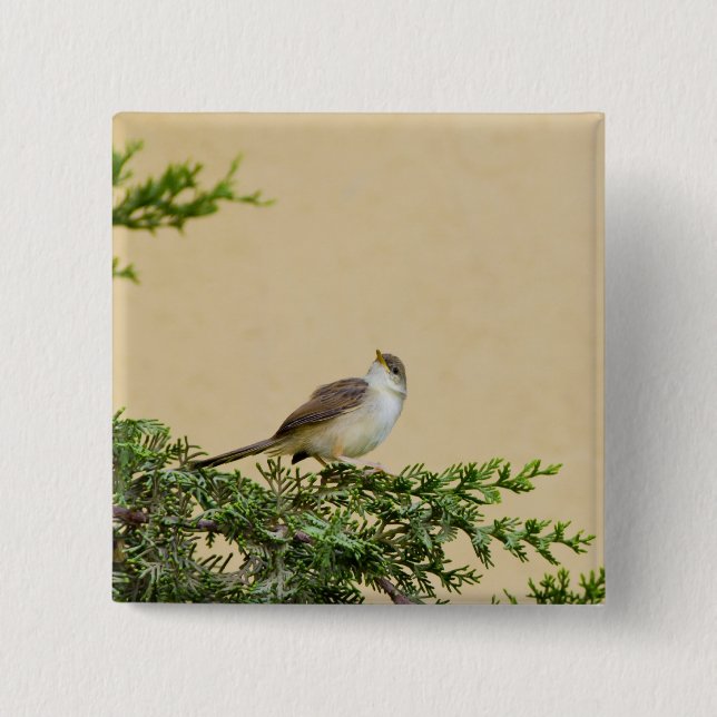 Badge Carré 5 Cm Moineau (Devant)