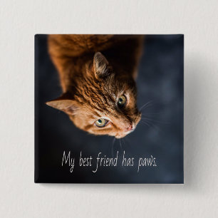 Badge Carré 5 Cm Mon meilleur ami a des pattes, Cat Kitten mignonne