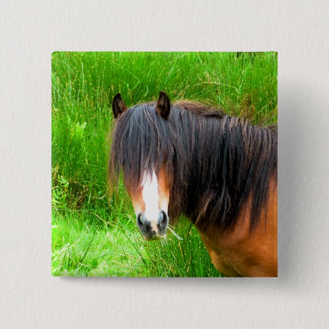BADGE CARRÉ 5 CM MONTAGNE CHAUDE PONY (Devant)