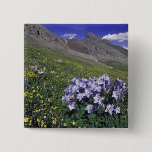 Badge Carré 5 Cm Montagnes et fleurs sauvages dans un pré alpin, Bl