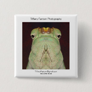 Badge Carré 5 Cm Morceau de promo de caméléon