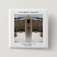 Morceau de promo de cygne