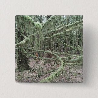 Badge Carré 5 Cm Mossy Trees In Welsh Woodland 2025