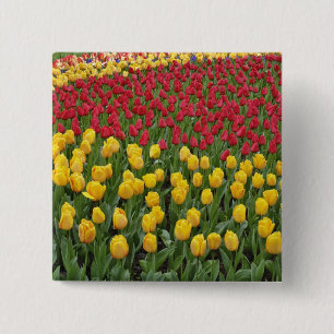 Badge Carré 5 Cm Motif de jardin de tulipes, Jardins de Keukenhof,