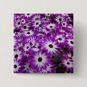 Badge Carré 5 Cm Motif floral, Jardins de Kuekenhof, Lisse,