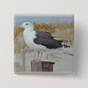 Badge Carré 5 Cm Mouette à dos noir Série de goélands