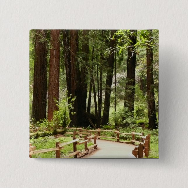 Badge Carré 5 Cm Muir Woods Chemin I Nature Photographie (Devant)