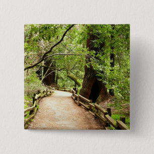 Badge Carré 5 Cm Muir Woods Path II Nature Photography
