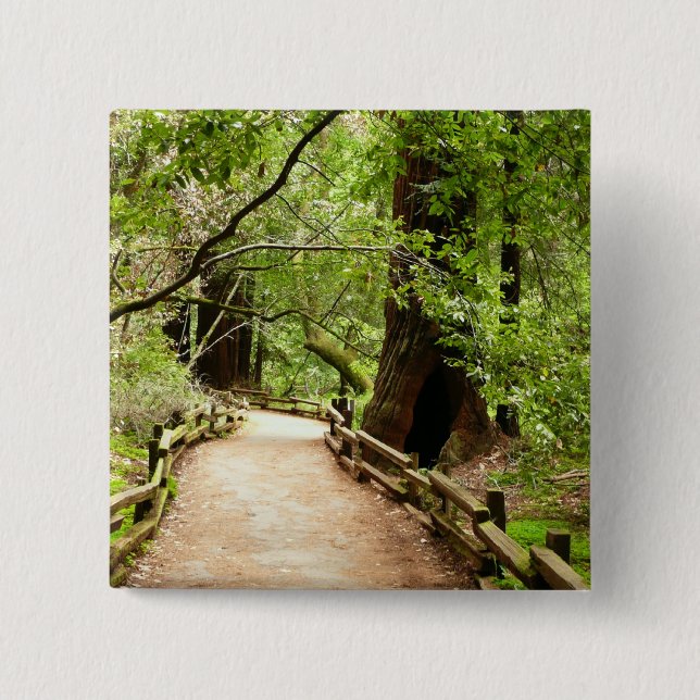 Badge Carré 5 Cm Muir Woods Path II Nature Photography (Devant)