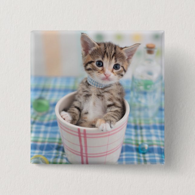 Badge Carré 5 Cm Munchkin Kitten Avec Joli Ruban (Devant)