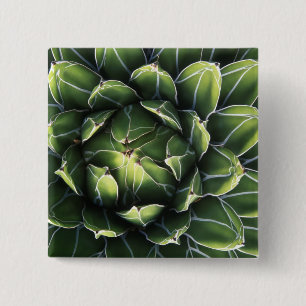 Badge Carré 5 Cm N.A., États-Unis, Arizona, Tucson, Sonora Desert