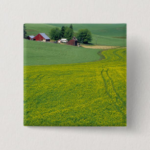 Badge Carré 5 Cm N.A., États-Unis, Idaho, comté de Latah, près de G