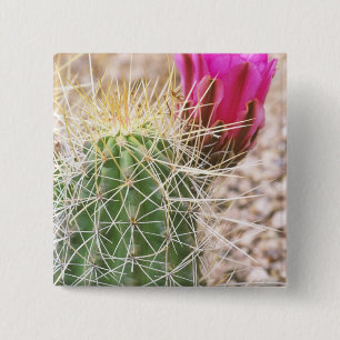 Badge Carré 5 Cm N.A., USA, AZ, Phoenix, Desert Botanical
