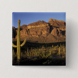 Badge Carré 5 Cm NA, États-Unis, Arizona. Organ Pipe Cactus Nationa