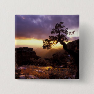 Badge Carré 5 Cm NA, États-Unis, Arizona, Tucson, Coucher de soleil