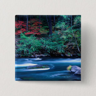 Badge Carré 5 Cm NA, États-Unis, Oregon, Feuillage d'automne sur No