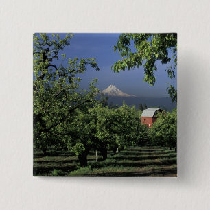 Badge Carré 5 Cm Na, Etats-Unis, Orégon, près de capot de la