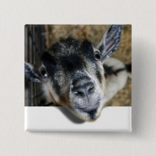 Badge Carré 5 Cm Nosy Goat En Regard