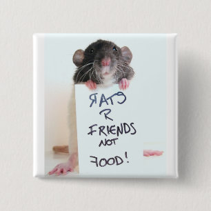 Badge Carré 5 Cm Nourriture 2 d'amis des rats R pas