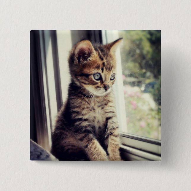 Badge Carré 5 Cm Observation tigrée de chaton (Devant)