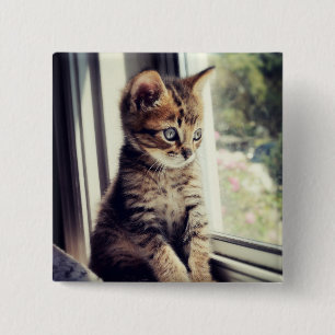 Badge Carré 5 Cm Observation tigrée de chaton