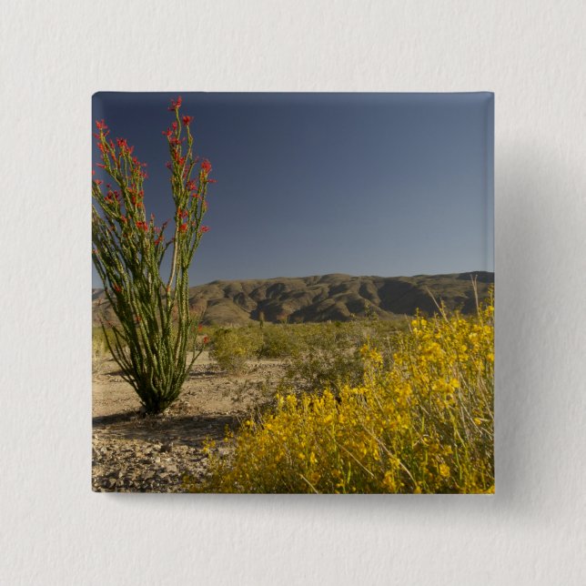 Badge Carré 5 Cm Ocotillo and desert senna (Devant)