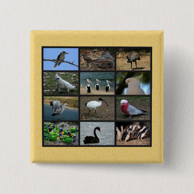 Badge Carré 5 Cm Oiseaux australiens (Devant)