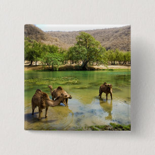 Badge Carré 5 Cm Oman, Wadi darbat