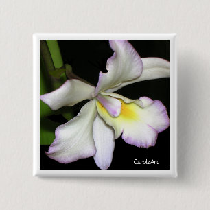 Badge Carré 5 Cm Orchidée blanche classique