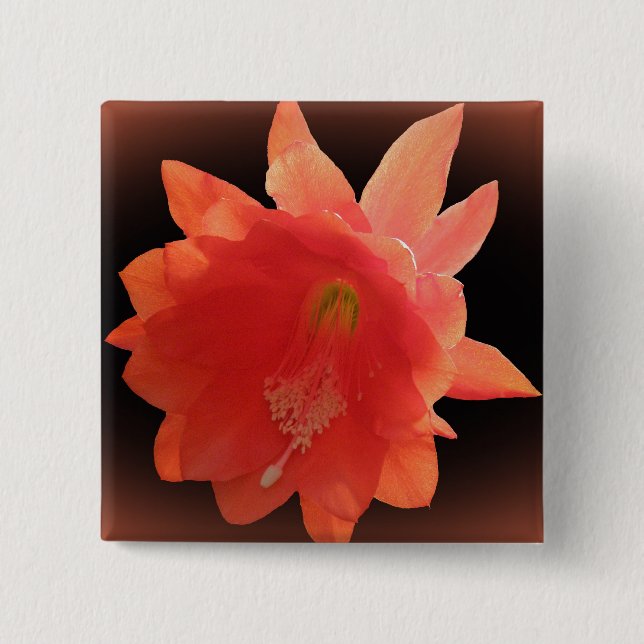 Badge Carré 5 Cm Orchidée Cactus - Epiphyllum Ackermannii - Blossom (Devant)