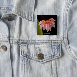 Badge Carré 5 Cm Orchidée rose tropicale