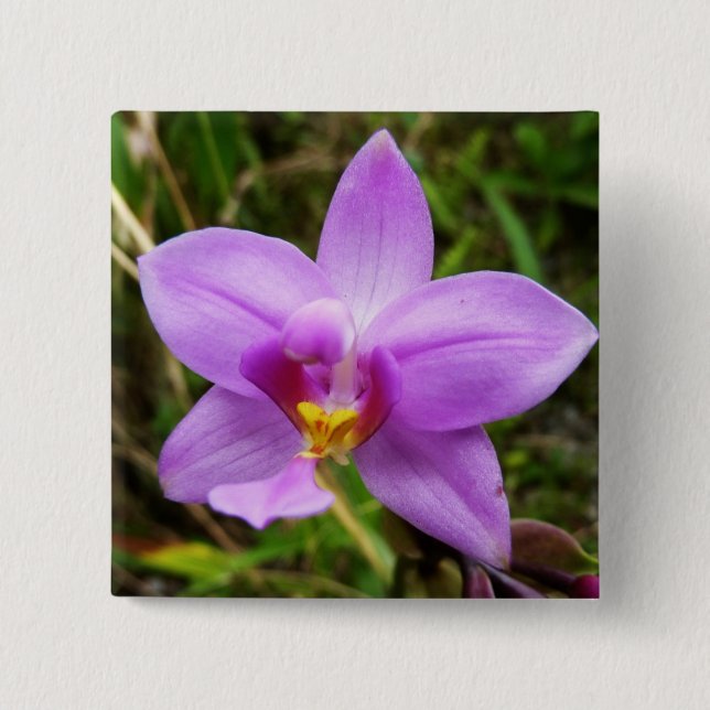 Badge Carré 5 Cm Orchidée sauvage violette Fleur tropicale (Devant)