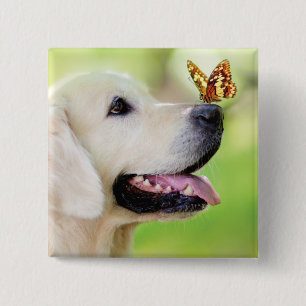 Badge Carré 5 Cm Oreiller À Lancer Du Labrador Et Du Papillon