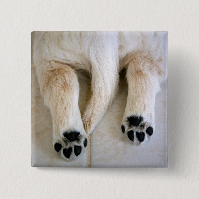 Badge Carré 5 Cm Orteils de marionnettes Golden Retriever (Devant)