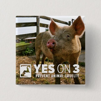 Badge Carré 5 Cm Oui sur 3 ! Mini bouton