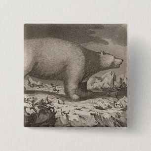 Badge Carré 5 Cm Ours blanc en Alaska