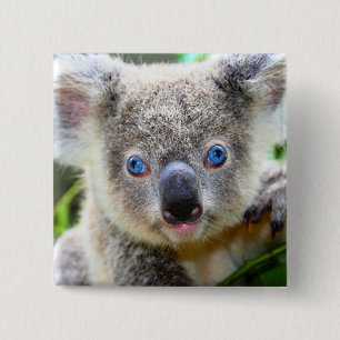 Badge Carré 5 Cm Ours de Koala