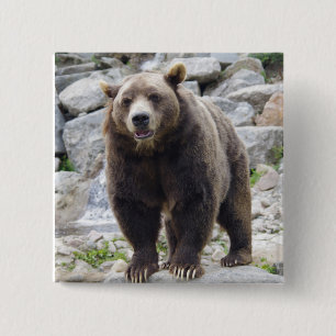 Badge Carré 5 Cm Ours de Kodiak