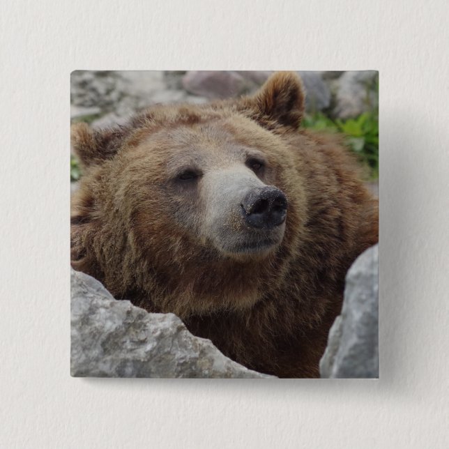 Badge Carré 5 Cm Ours Kodiak (Devant)