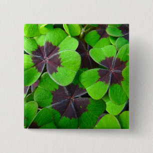 Badge Carré 5 Cm Oxalis Feuille - Rouge et vert