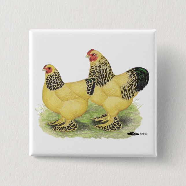 Badge Carré 5 Cm Paire Brahma Buff (Devant)